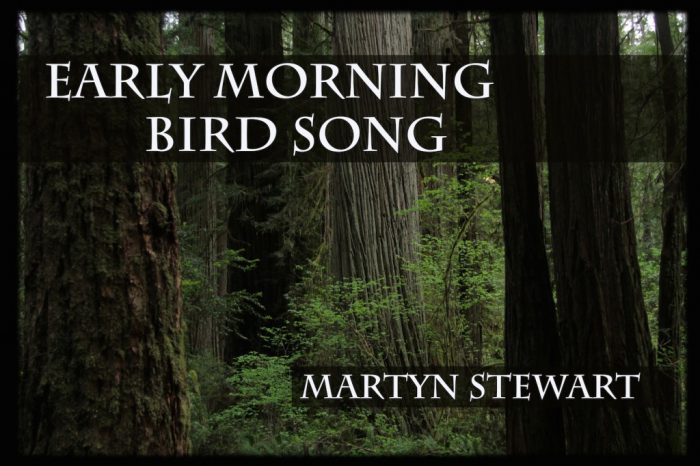 Early norning bird song banner